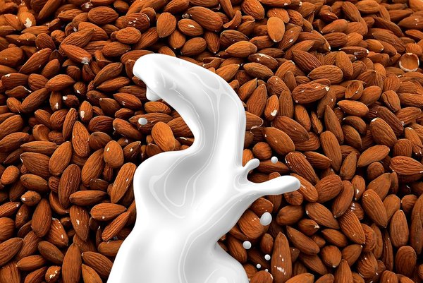 Quels sont les bienfaits de la consommation de lait d'amande pour la santé digestive et comment l'intégrer dans votre alimentation?